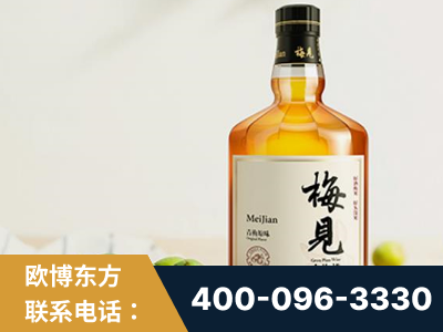 万源-梅见青梅酒